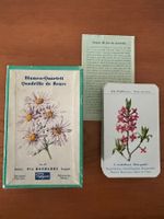 Antique quadrille de fleurs / Blumen-Quartett