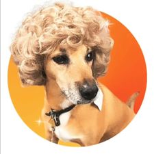Profile image of la_loca