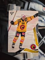 Romain Loeffel SC Bern 2025/26 Sportzoo 2