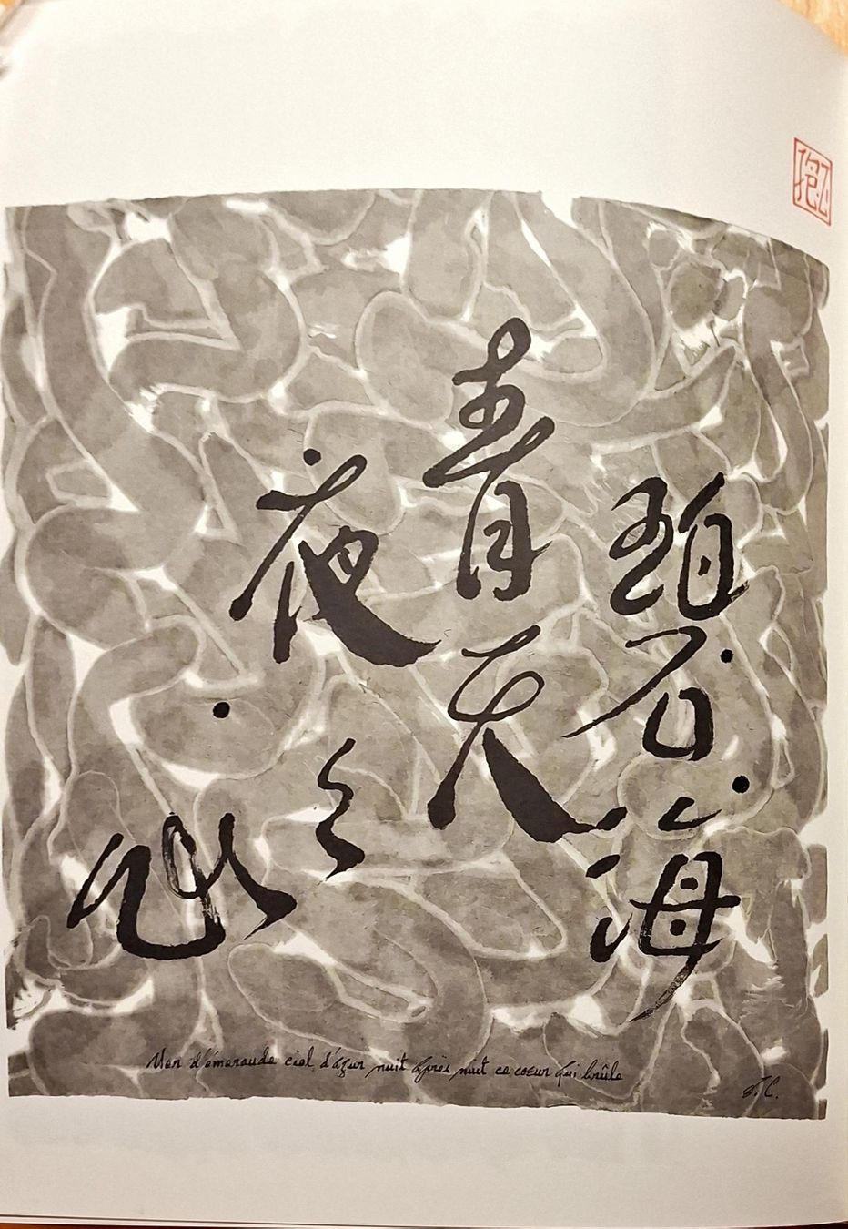 Libri: François Cheng - Et le souffle devient signe, Top Zustand! – Usato da Niederglatt ZH venduto da Siegfried67 6