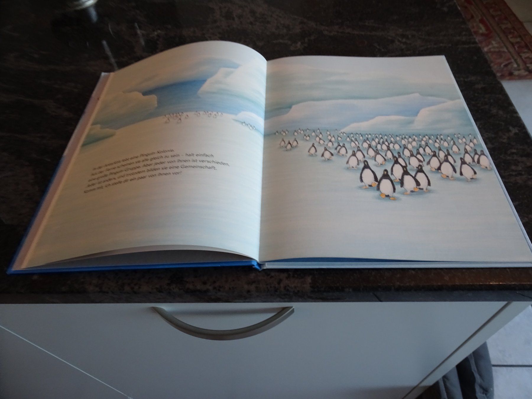 Libri: BilderBuch SO ODER SO einfach Pinguin sein.Marcel Pfister A6 – Nuovo (secondo la descrizione) da Zürich venduto da Roulet 3