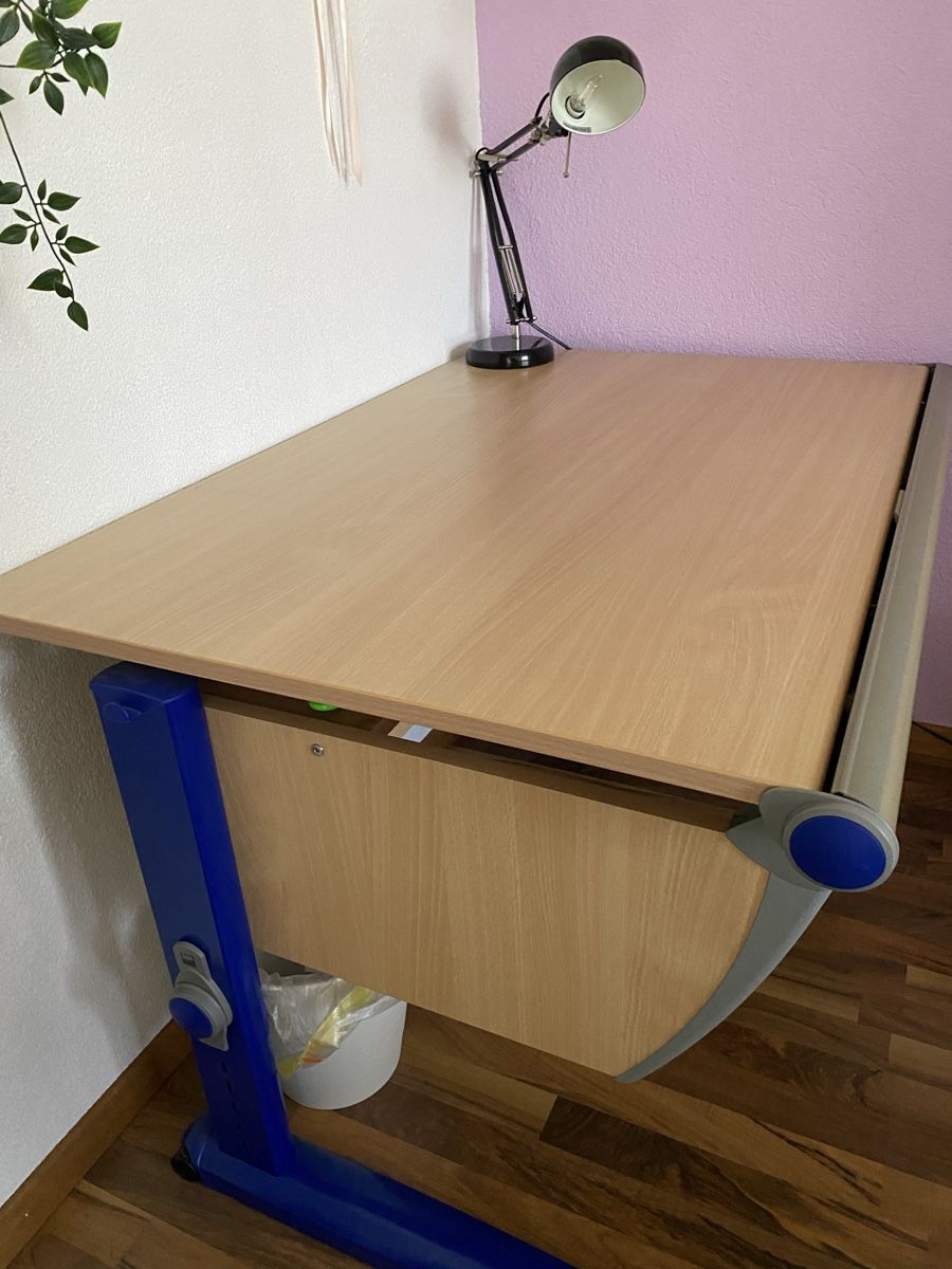 Scrivanie: MOLL Schreibtisch höhenverstellbar – Usato da Hildisrieden venduto da bar_9lkz 2