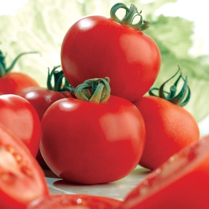 Piante & sementi: 30 Samen Ailsa Craig Tomate – Nuovo (secondo la descrizione) da Ehrendingen venduto da VerveinaSamen 3
