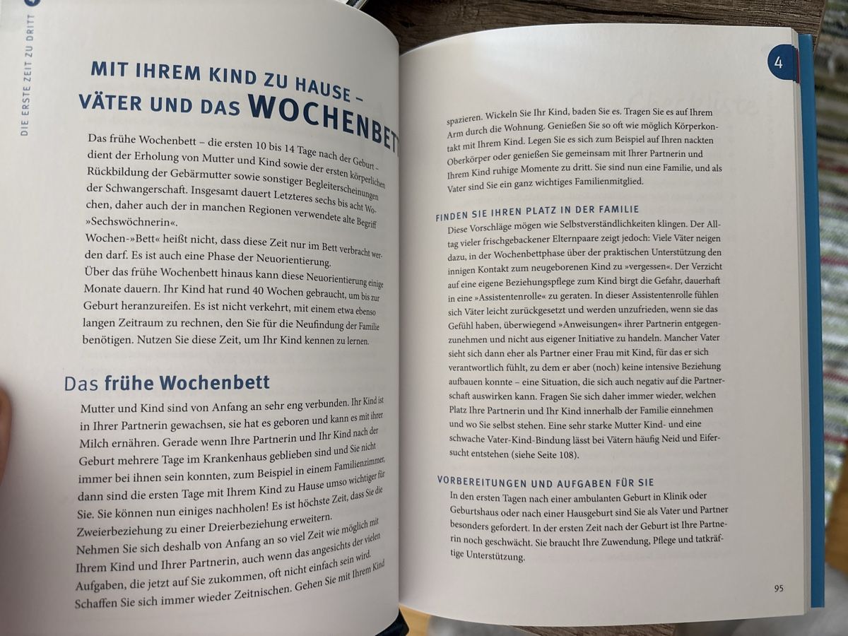 Livres: Das Papa Handbuch – Neuf (Voir description) à Schaffhausen par Reporter 3