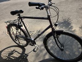 Herren Velo