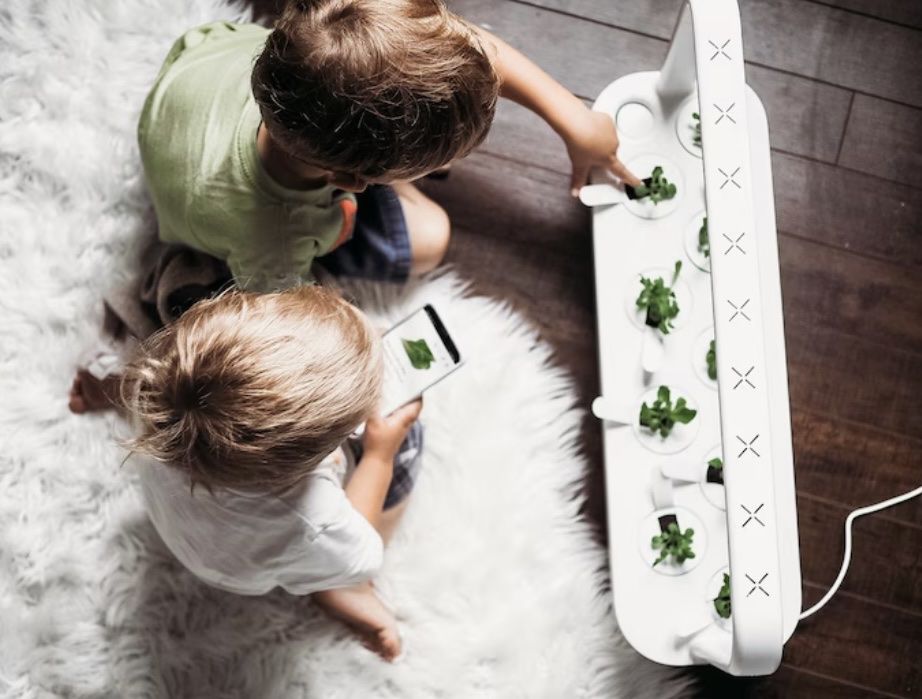 Altro: Click and Grow Smart Garden 9 – Nuovo (secondo la descrizione) da Ostermundigen venduto da Ania.I 3