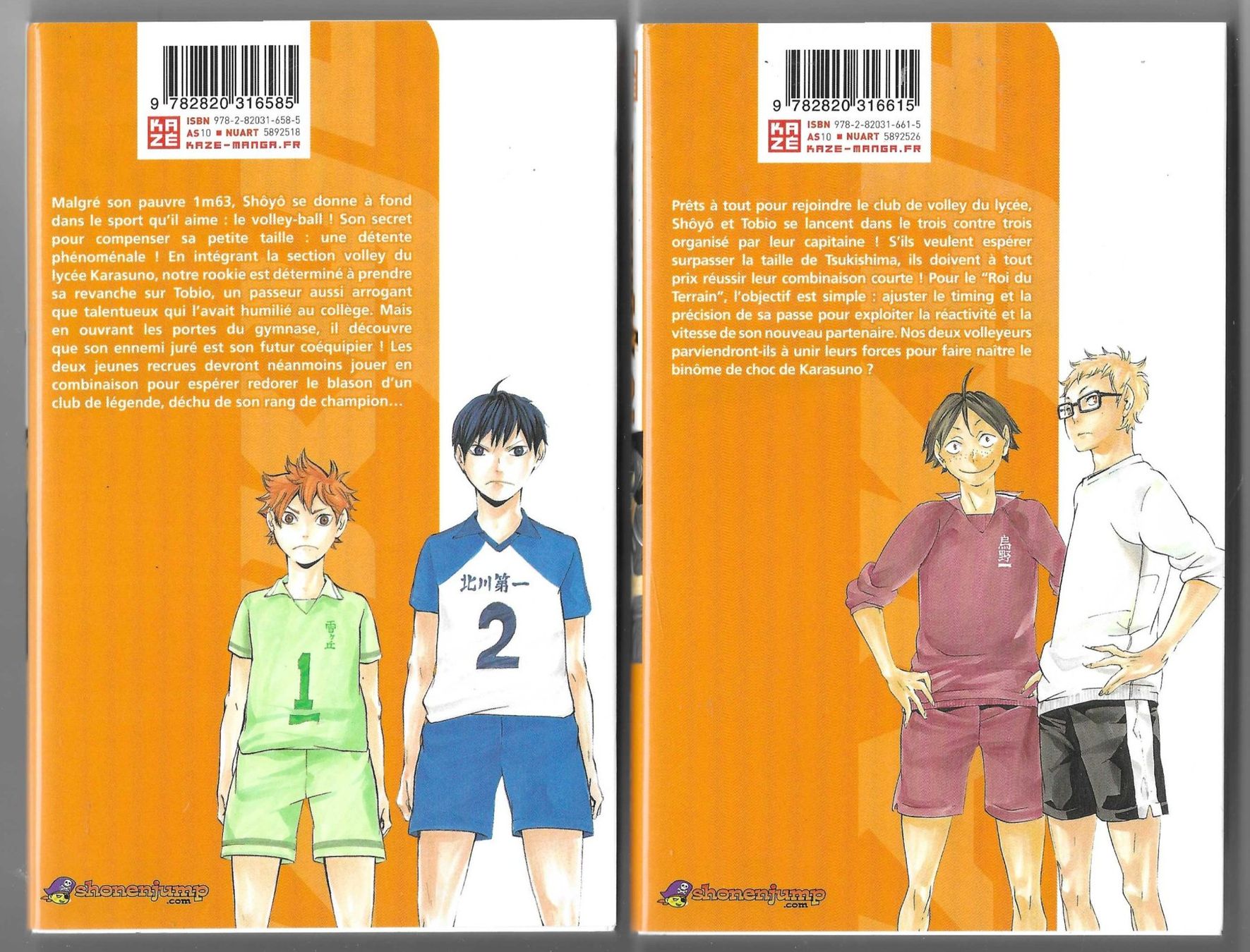 Comics: MANGA  -  HAIKYU  -  1 & 2 – Gebraucht aus Bex von Giorgiob 1