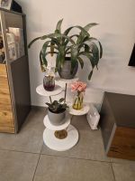 Etagère / Blumenstreppe in Marmor-Optik
