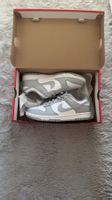 Nike dunk low retro
