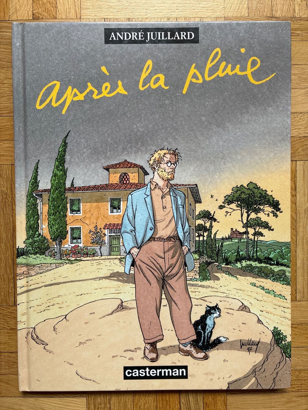 Comics: André Juliard "Après la pluie" – Gebraucht aus Genève von beh_d27l