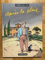 André Juliard "Après la pluie"