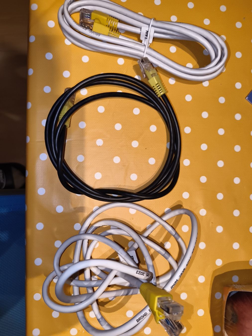 Cavi: LAN- Kabel 3x – Usato da St. Gallen venduto da cesco__8