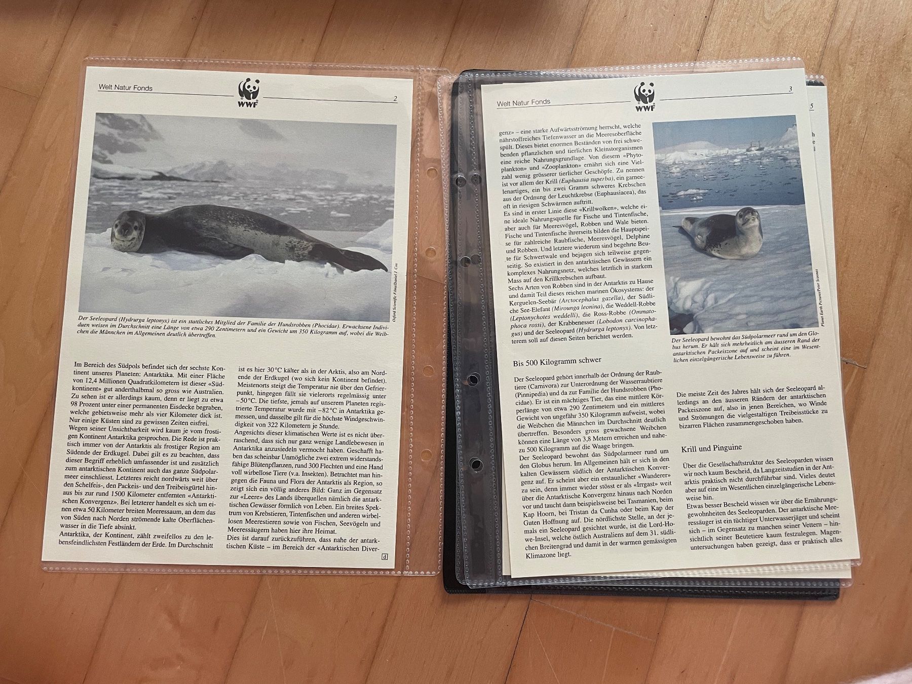Tutti i francobolli: WWF Set "Der Seeleopard – Usato da Altdorf UR venduto da mic_z8bj 1