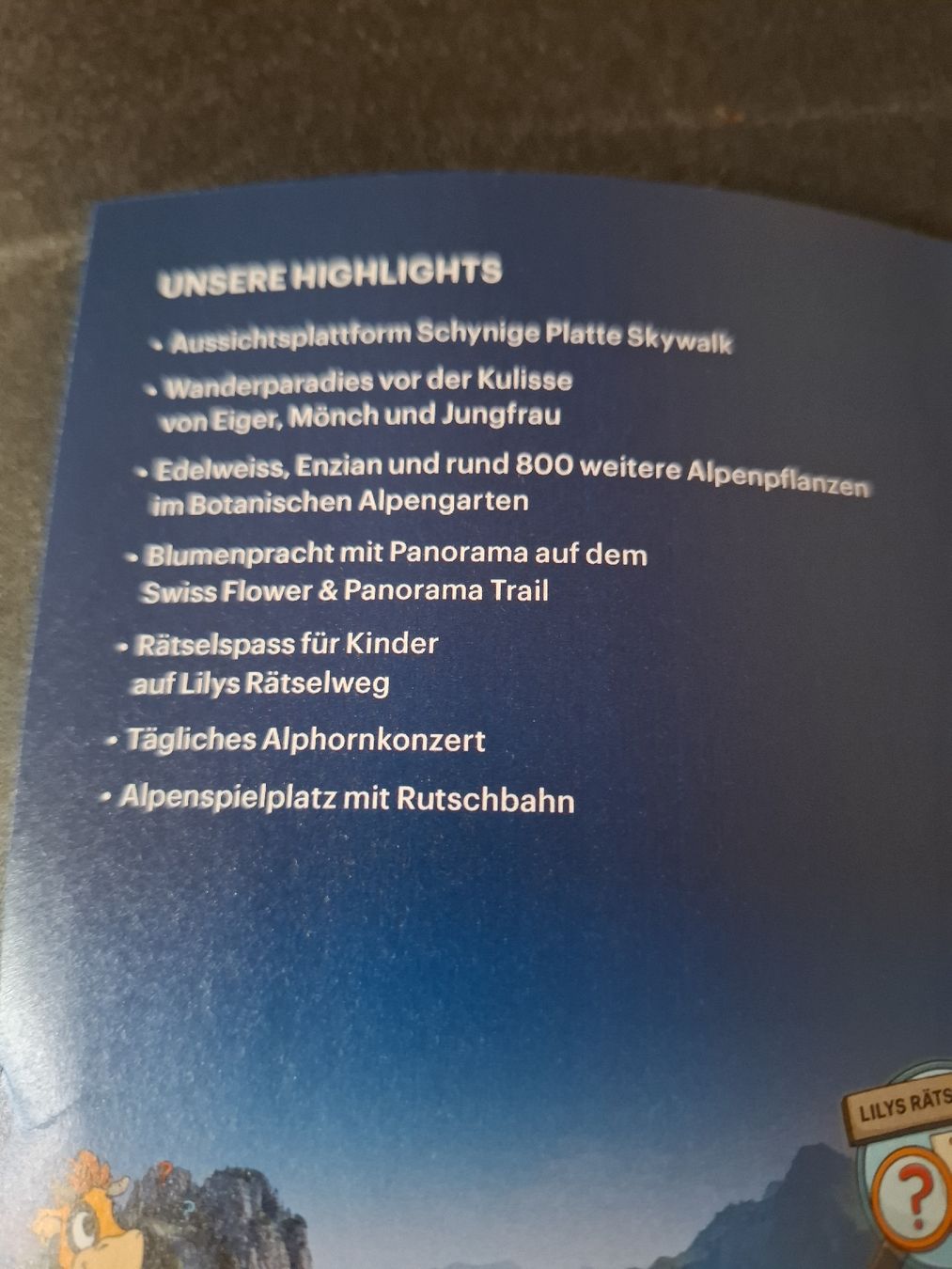 Buoni: Schynige Platte Coop Rabatt 30% auf Bahnfahrt mit Code – Nuovo (secondo la descrizione) da Zuchwil venduto da bvj_5t82 1