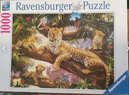 1000 Teile Puzzle - Leopardenfamilie