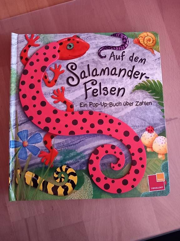 Bücher: Kinderbuch – Gebraucht aus Ebnat-Kappel von 10camper 1