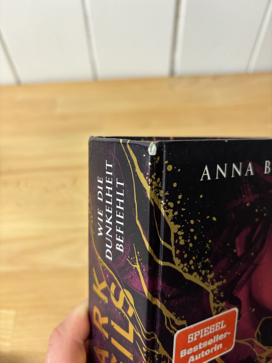 Bücher: Dark Sigils Trilogie von Anna Benning – Gebraucht aus Montlingen von ann_w6t2 4