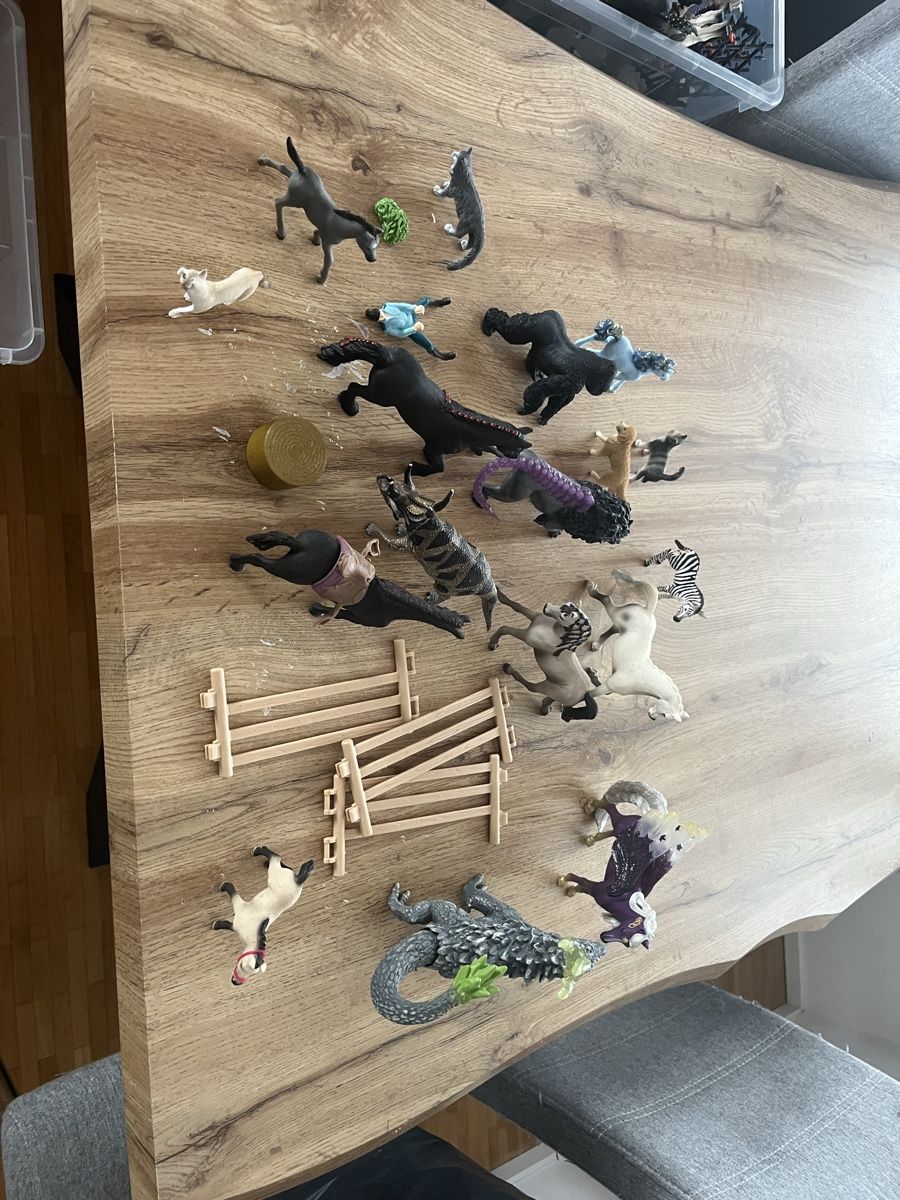 Schleich Figurines: Schleichset mit diversen Figuren – D'occasion à Rickenbach LU par Gigaxo 2