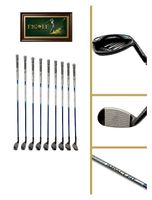 Honma Shuttle Gold - Eisenset (5-10, PW, AW, SW)