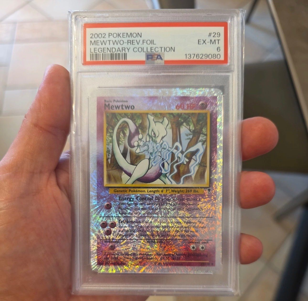 Pokémon Carte collezionabili: Carte Pokémon Legendary – Usato da Riva San Vitale venduto da kej_6hj6 6