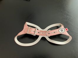 Hundegeschirr - NEU - BUDDY BELTS Gr.6 mit Strassstein