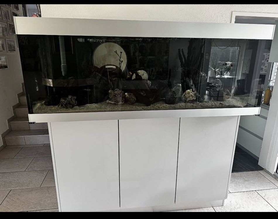 Wunderbar Aquarium Gebraucht Kaufen Ebenbild