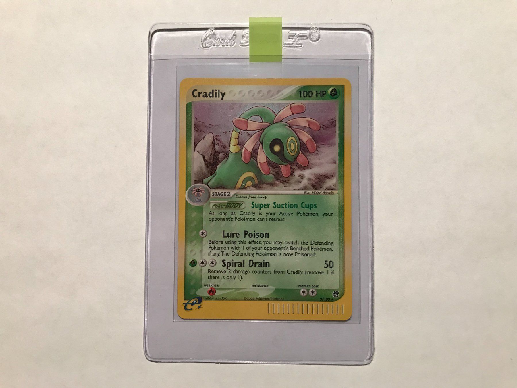 Pokémon Carte collezionabili: Cradily holo NM – Nuovo (secondo la descrizione) da Hagendorn venduto da Pokecollectorch