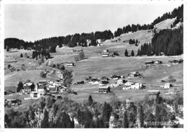 Pany GR // 1957 Dorf // Sommer Berge Alpen