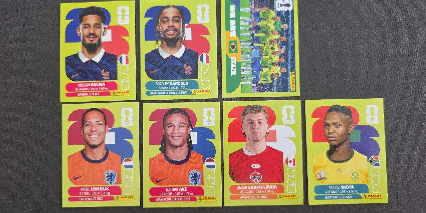 Panini Carte collezionabili: Panini Karten WM2026 – Usato da St. Gallen venduto da Shelly__x3