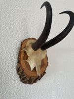 Gamskrickel auf Holzbrett montiert Wanddekoration antik