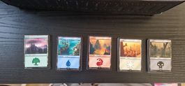 100x Magic: The Gathering Basic Lands EN