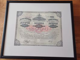 Historische Aktie Dalmatiner Bank