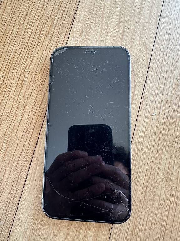Apple Telefoni cellulari / Smartphones: Iphone 12 Pro 256GB – Usato da Zürich venduto da TheWickerman 1