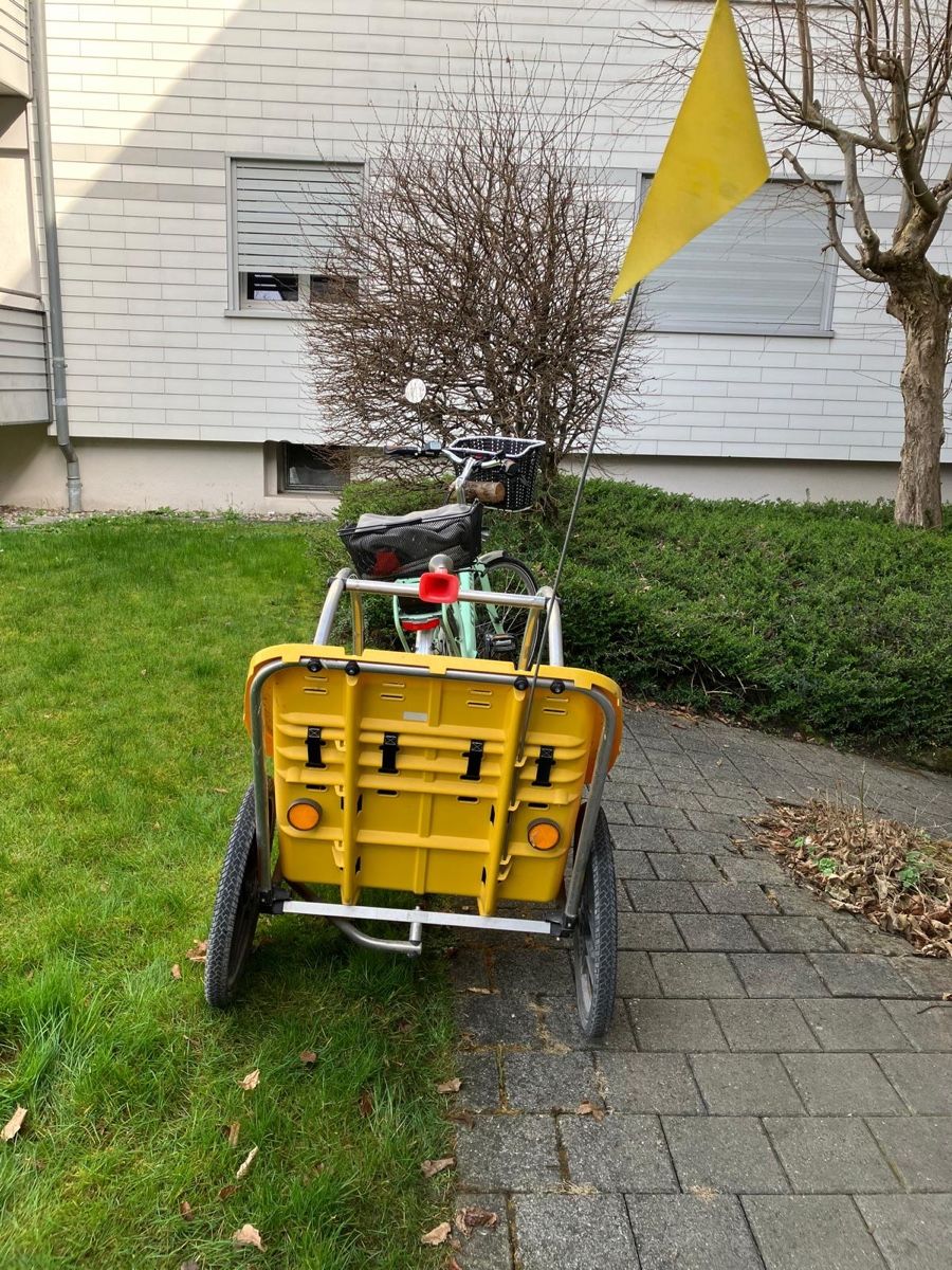 Leggero Rimorchi: Kid Trailer - Perfect for Spring Rides! – Usato da Adliswil venduto da Thomas.hettich 5