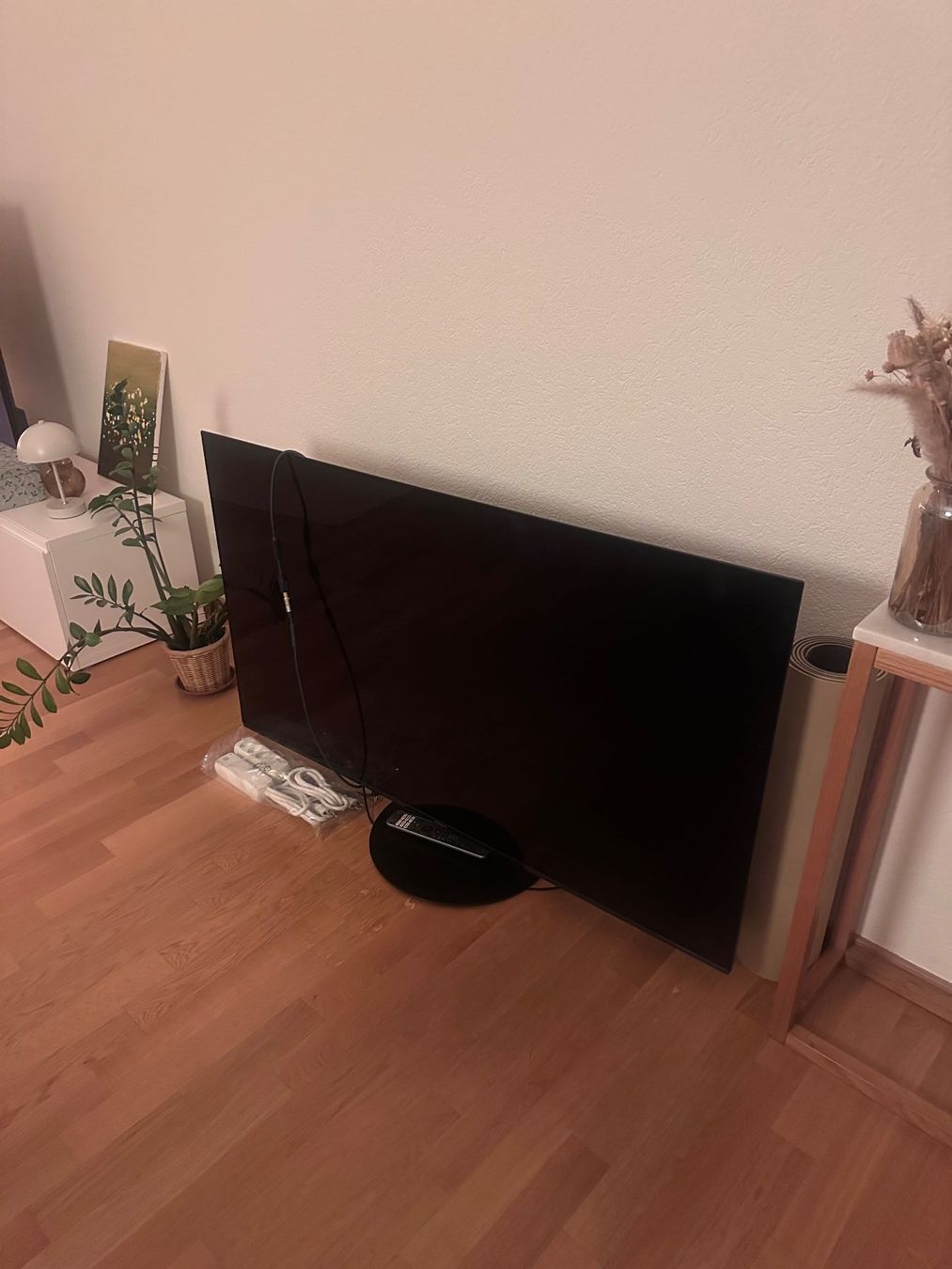 Panasonic Fernseher: Top TV - Panasonic OLED – Gebraucht aus Winterthur von julfri4 1
