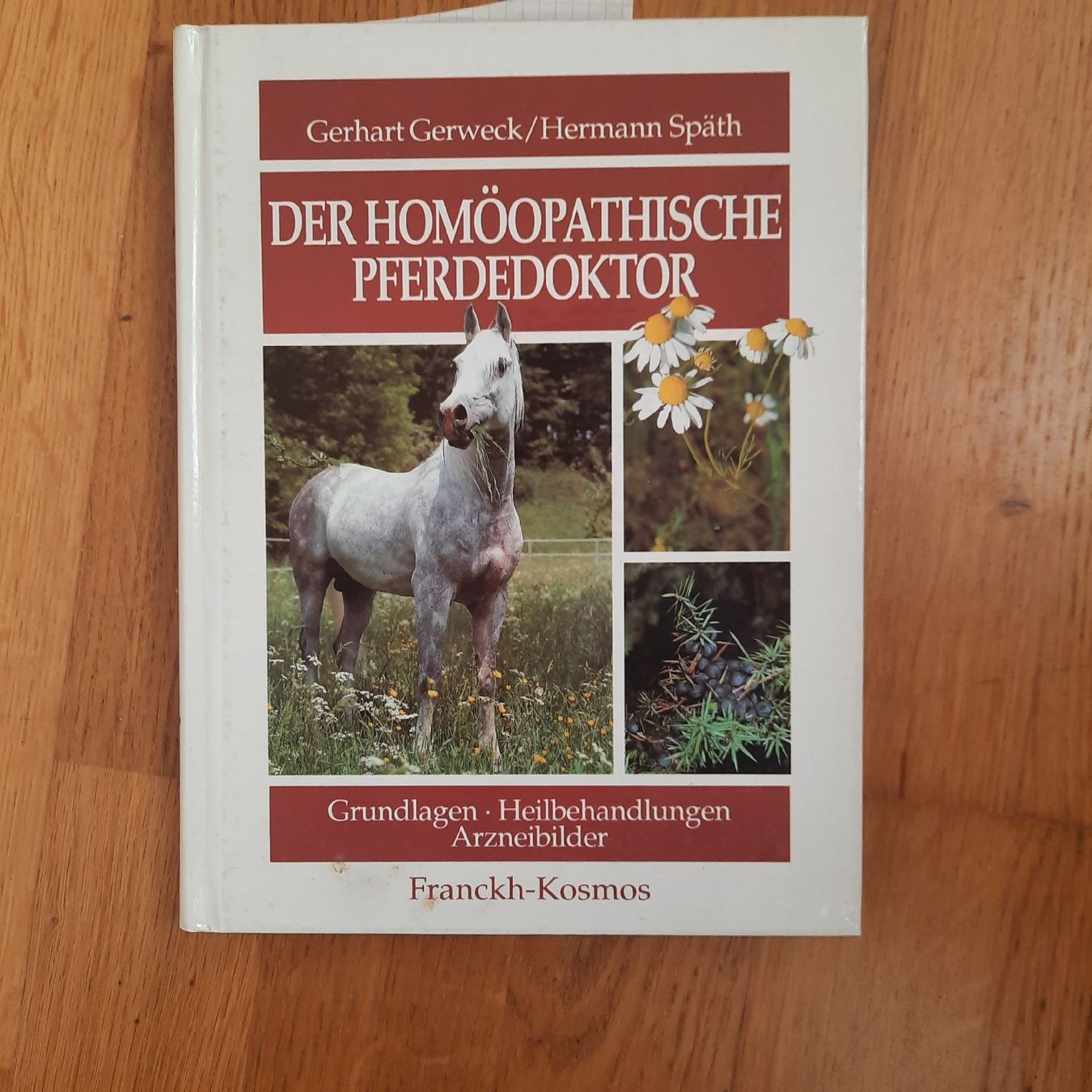 Libri: Der Homöopathische Pferdedoktor – Nuovo (secondo la descrizione) da Riedikon venduto da cor_7jcd