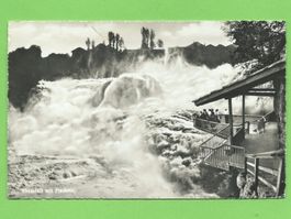 Rheinfall mit Fischetz