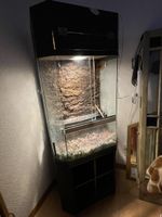 Terrarium Paludarium gebraucht inkl. Möbel und Lichtkasten