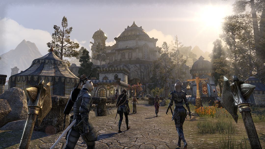 Microsoft Giochi: The Elder Scrolls Tamriel Unlimited Xb One – Usato da Schüpfheim venduto da Games_Spielkonsolen 5