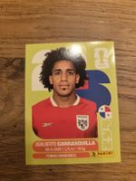 Panini Sticker 2026 PAN 12