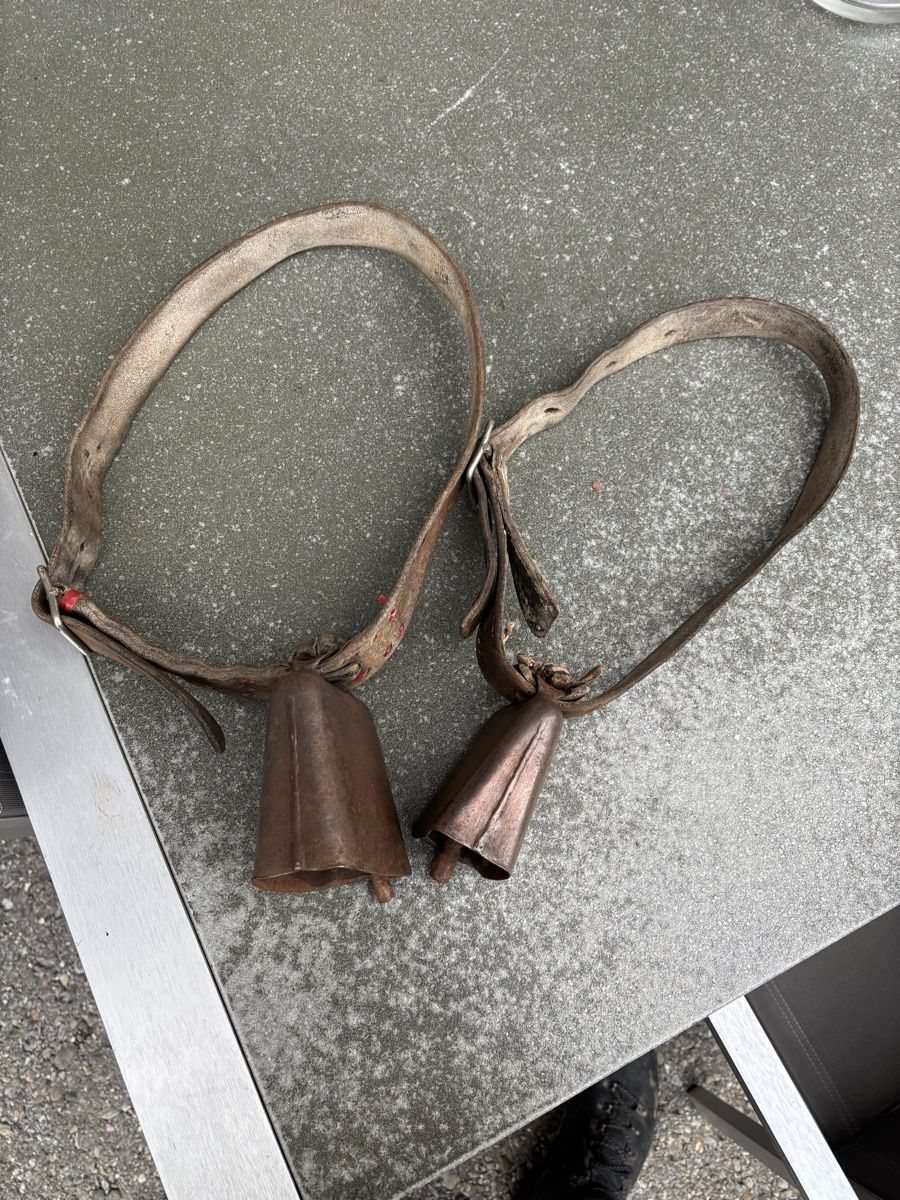 Campanacci mucche: Rindertreicheli – Usato da Schangnau venduto da Roseggli82 4