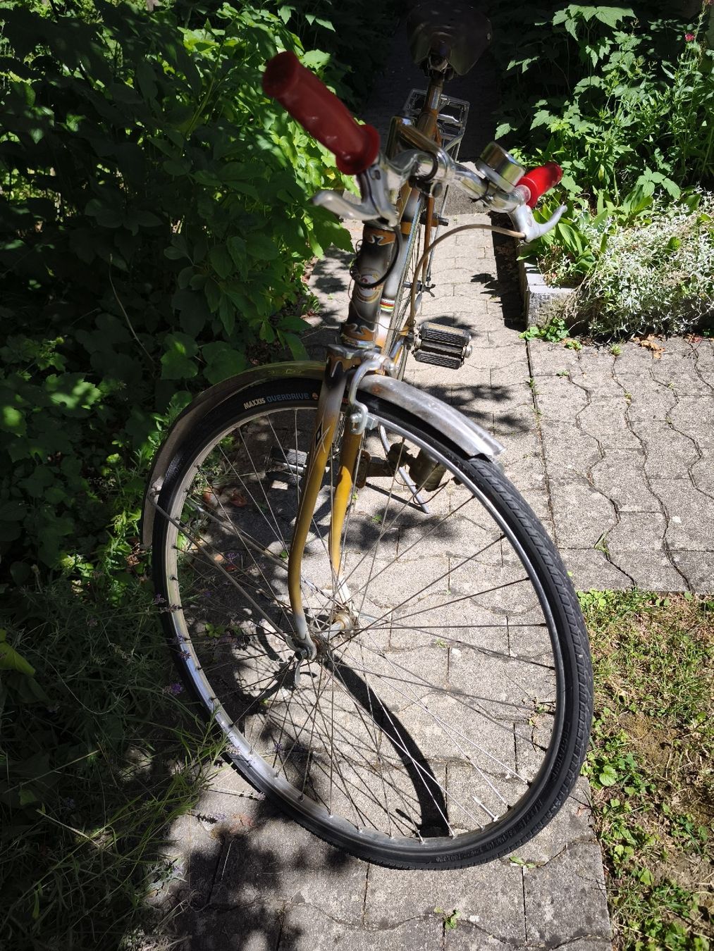 Vélos: Velo Retro gelb – Défectueux à Frauenfeld par prince_jan 4