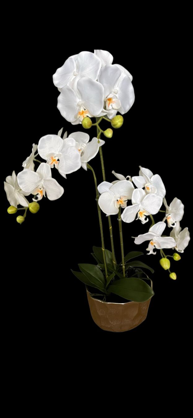 Pflanzen & Samen: Kunstpflanze Orchideen weiss mit Kunsterde – Neu und originalverpackt aus Emmen von codici 2