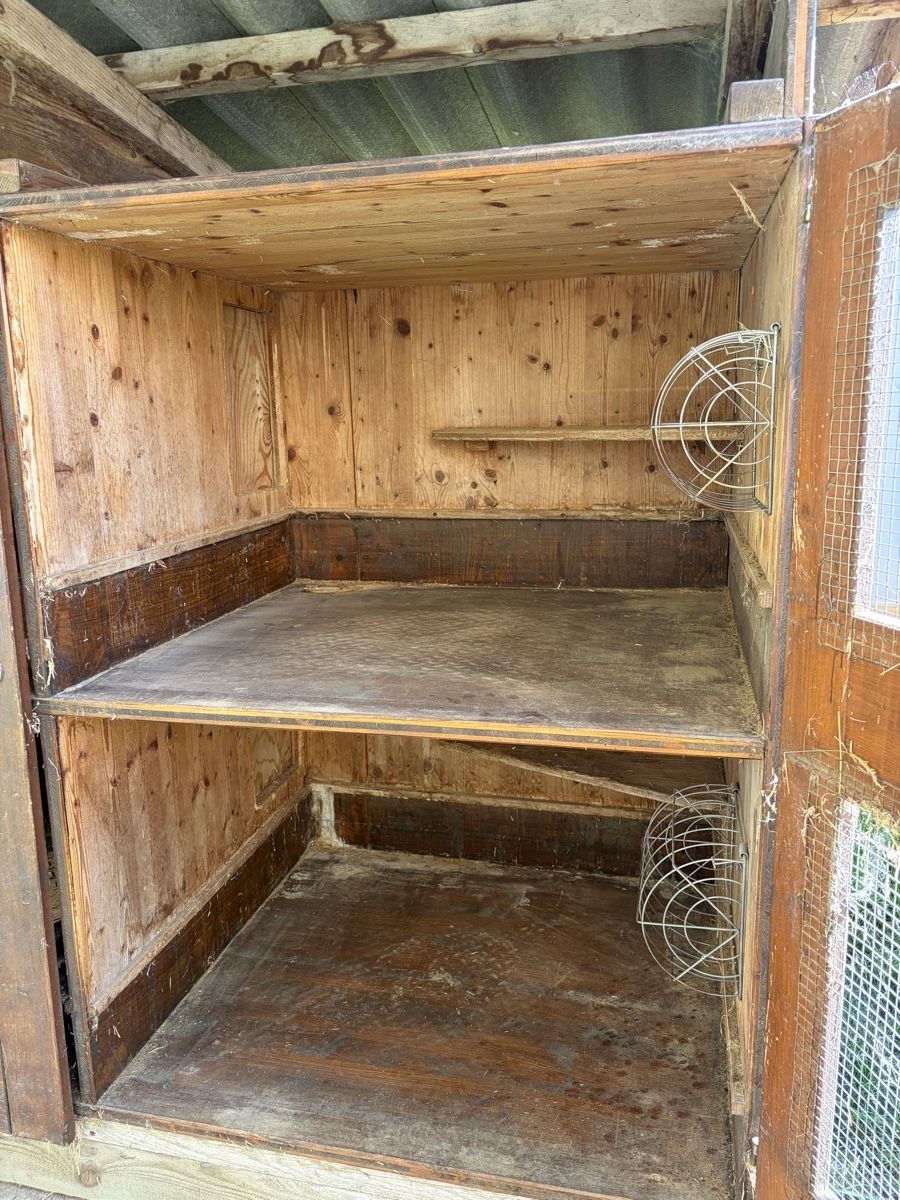 Cages, transport & sécurité: Kaninchenstall – D'occasion à Andwil SG par Blautaucher72 1