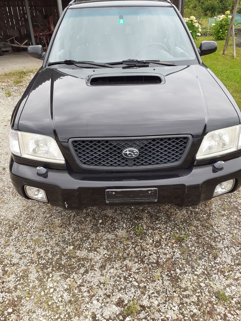 Subaru Automobili: Subaru Forester – Usato da Lüscherz venduto da willim02