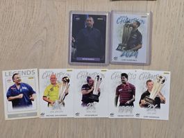 Panini PDC Darts Karten Lot – 30 Stück inkl. 2x nummerierte