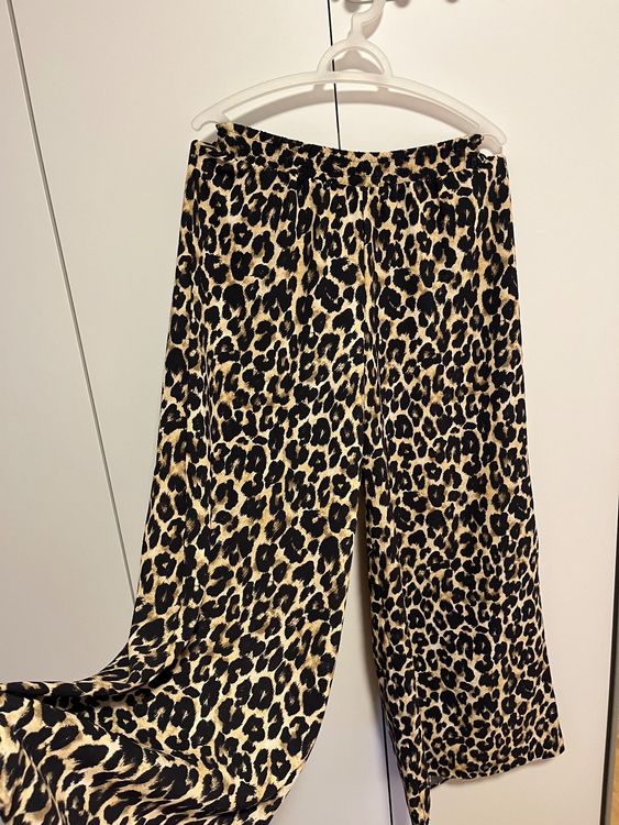 Animal Print Trousers Pantaloni Animalier Zara Pantalon Zara De La