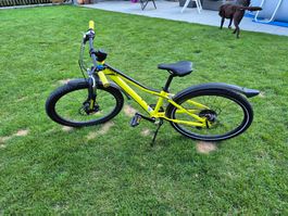 Scott Junior MTB 24 Zoll