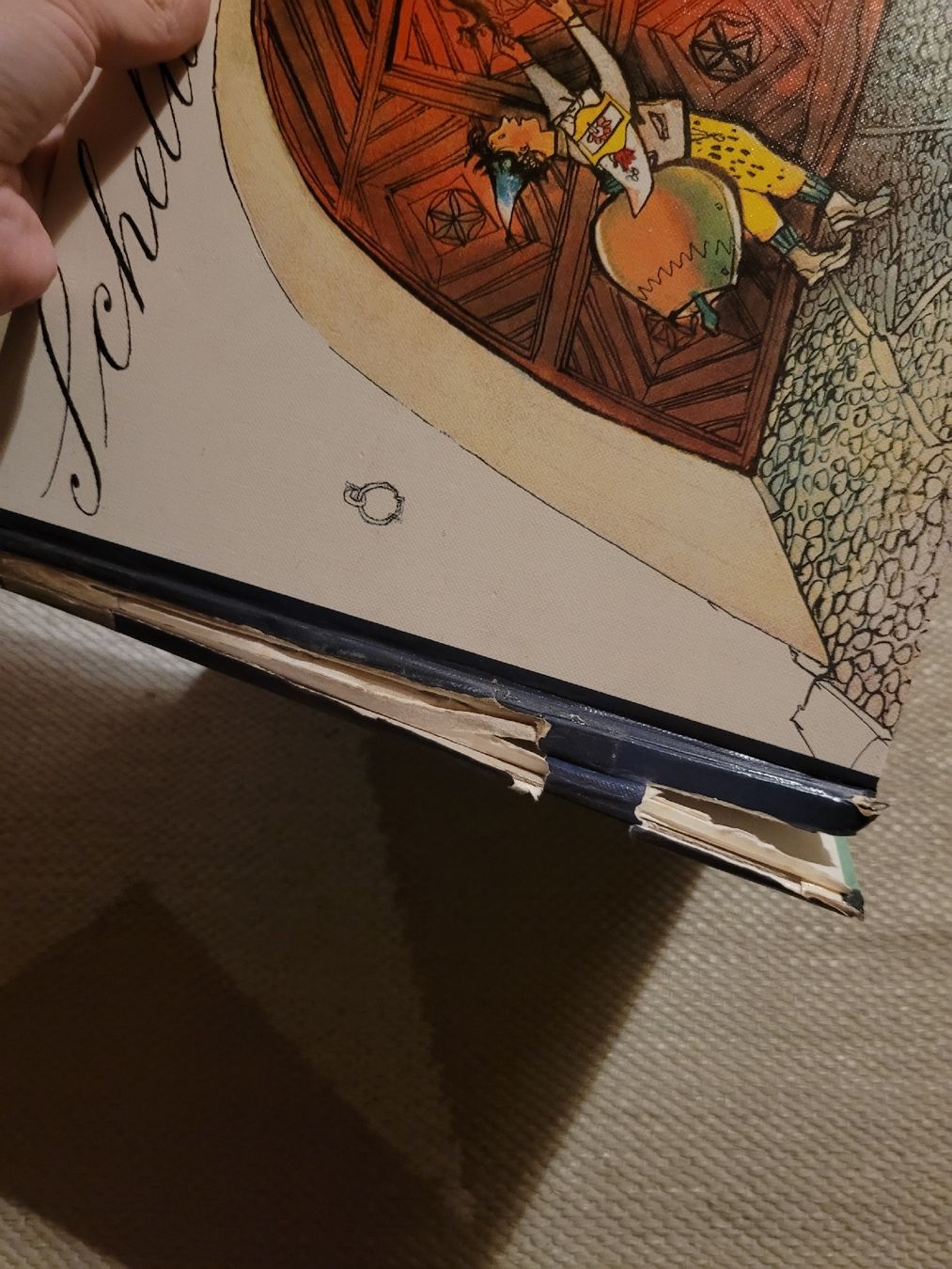 Libri: Schellen-Ursli Kinderbuch Selina Chonz – Difettoso da Perlen venduto da Safari_23 1