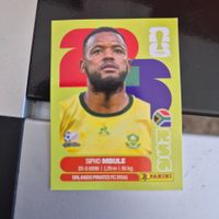 RSA 16 Panini FIFA WM 2026